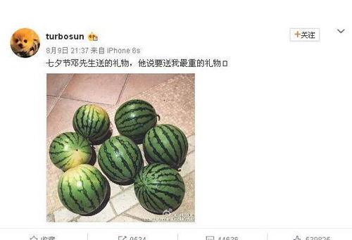 網(wǎng)絡(luò)大瓜,揭秘娛樂圈幕后真相，帶你走進明星隱私世界